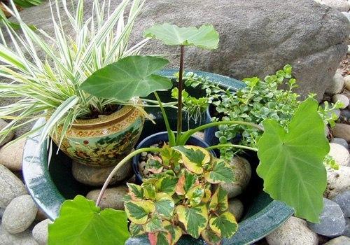 Сделайте пруд своими руками. 03 Сделайте пруд своими руками. 03