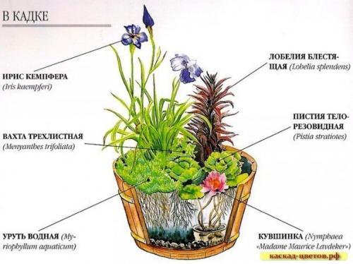 Сделайте пруд своими руками. 02 Сделайте пруд своими руками. 02