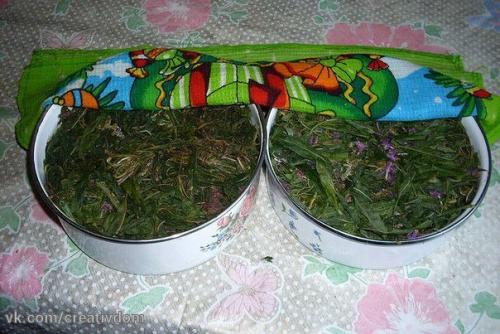 Заготовка иван-чая.  Личный опыт из поселения. 01