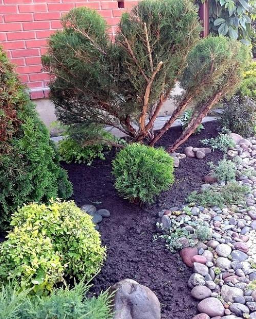 Здравствуйте! Я Татьяна! 03 Здравствуйте! Я Татьяна! 03