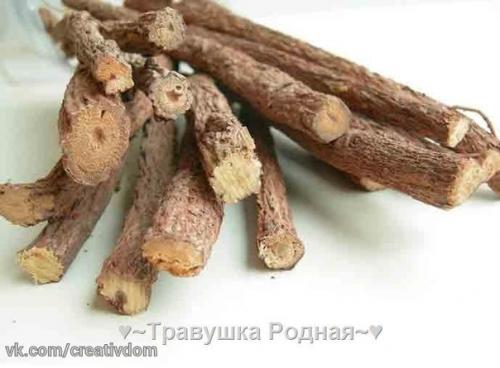 Противопаразитарные растения. Питание человека оказывает большое влияние на здоровье. 06 Противопаразитарные растения. Питание человека оказывает большое влияние на здоровье. 06