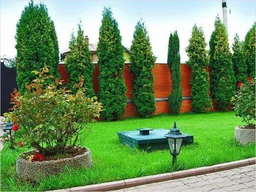 Санитарные нормы для выгребной ямы. 01