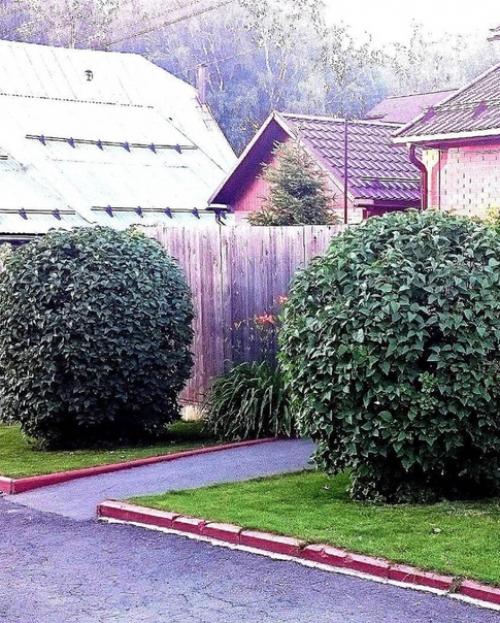 Здравствуйте! Я Татьяна! 07 Здравствуйте! Я Татьяна! 07