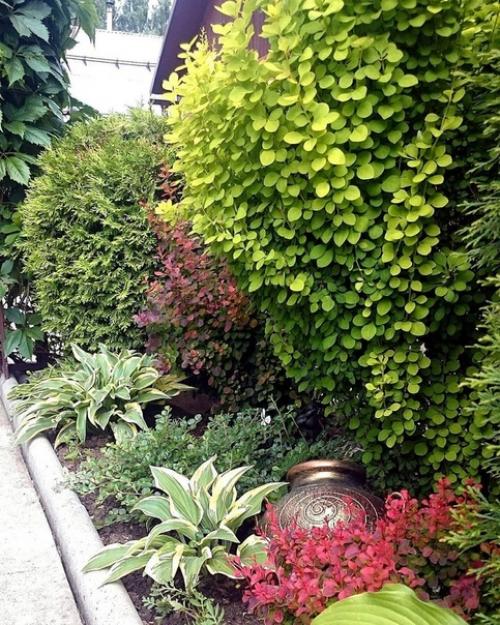 Здравствуйте! Я Татьяна! 04 Здравствуйте! Я Татьяна! 04