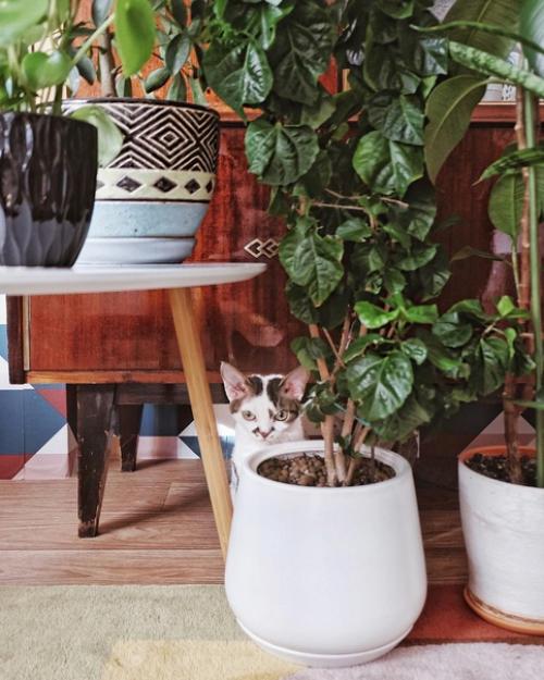 Зачем выбрасывать старую советскую мебель, если можно и дальше ей пользоваться. 08