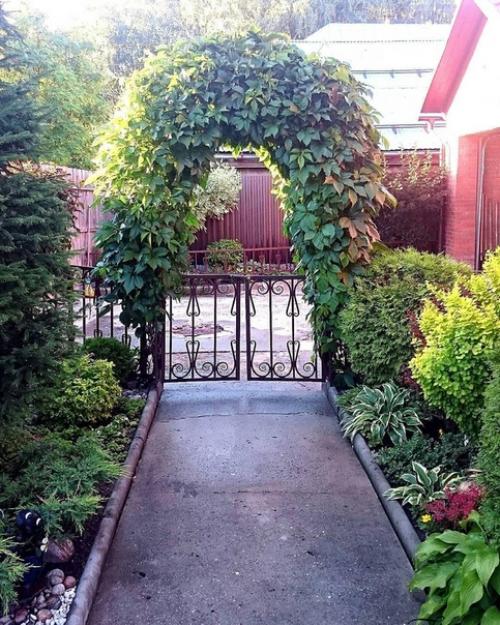 Здравствуйте! Я Татьяна! 05 Здравствуйте! Я Татьяна! 05