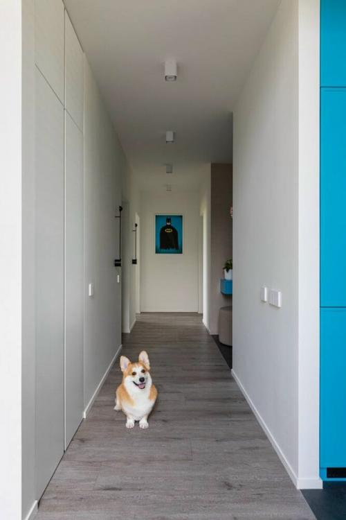 Интерьер сочетает в себе лёгкость скандинавского стиля и живость индивидуальности. 05 Интерьер сочетает в себе лёгкость скандинавского стиля и живость индивидуальности. 05