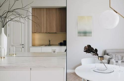 Интерьер квартиры площадью 40 м 2 в старом петербургском доме. 05