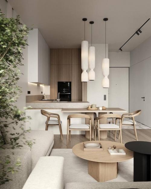 Аскетичный, но в тоже время уютный интерьер кухни - гостиной. 04