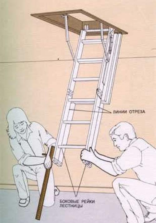 Мы экономим место: складные и винтовые лестницы. 01 Мы экономим место: складные и винтовые лестницы. 01