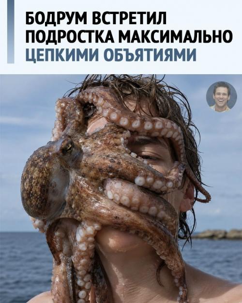 В бодруме подросток пошёл купаться и вернулся с осьминогом.
