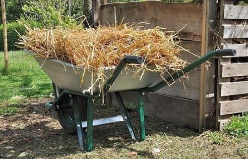 Когда и чем укрывать деревья и кустарники. 03 Когда и чем укрывать деревья и кустарники. 03