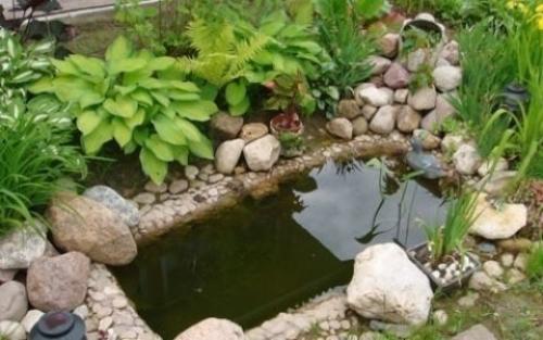 Пруд из старой ванны. 06 Пруд из старой ванны. 06