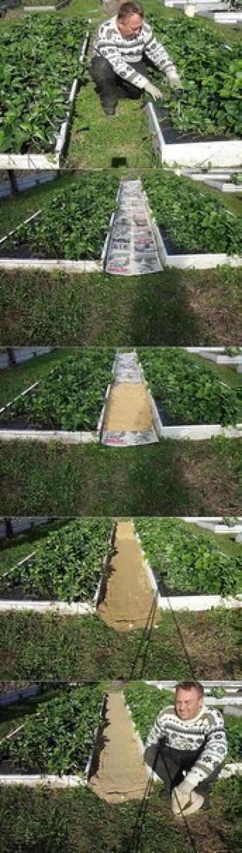 Как сделать, чтобы в проходах трава не росла? 01 Как сделать, чтобы в проходах трава не росла? 01