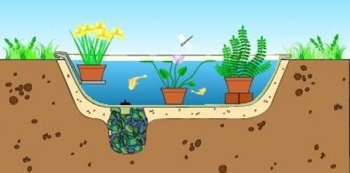 Пруд из старой ванны. 05 Пруд из старой ванны. 05