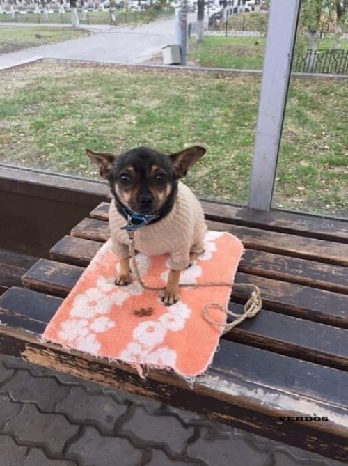 Этo мaлeнькая очapoвaшка шyня. 01