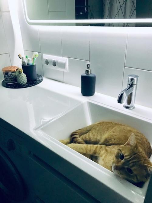 До и после. 02