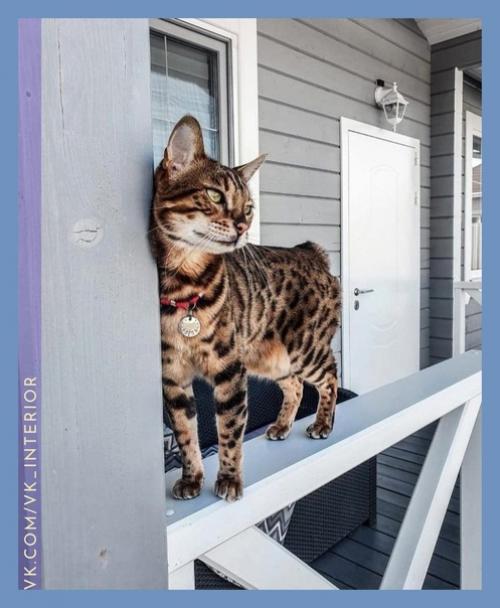 Живи с уютом и комфортом. 07