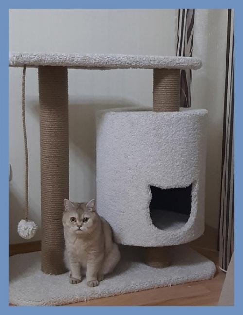 Живи с уютом и комфортом. 01