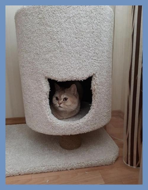 Живи с уютом и комфортом. 03