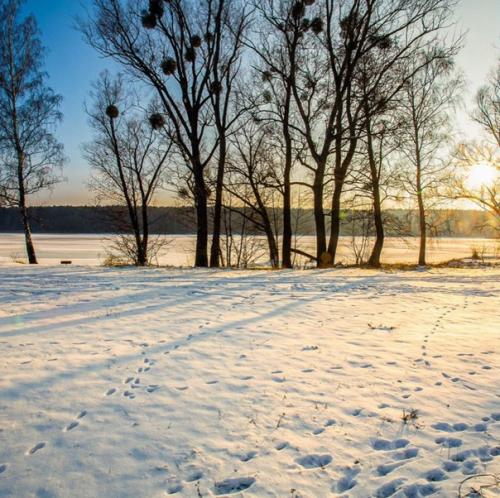 Невероятный дом на берегу озера в окружении заповедного леса после строительства и обустройства. 09