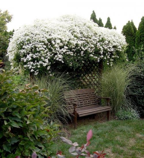 Вертикальное озеленение. Вертикальное озеленение - очень популярная техника в ландшафтном дизайне. 01 Вертикальное озеленение. Вертикальное озеленение - очень популярная техника в ландшафтном дизайне. 01