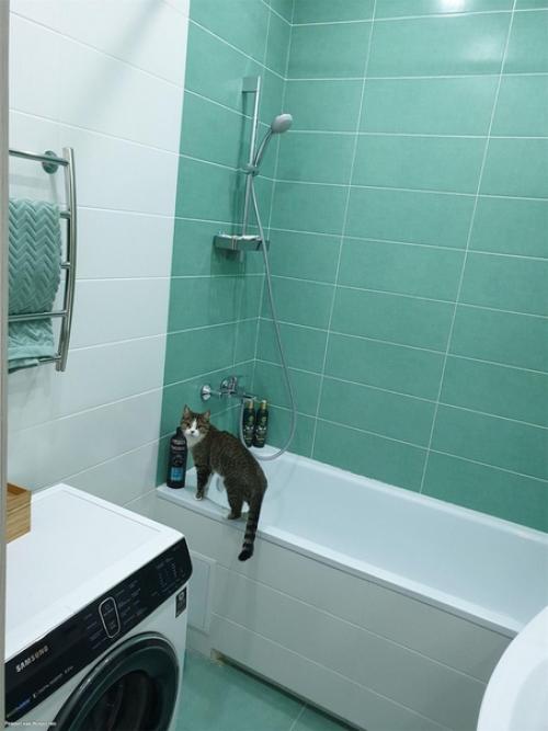 Все любят фото до и после. 07