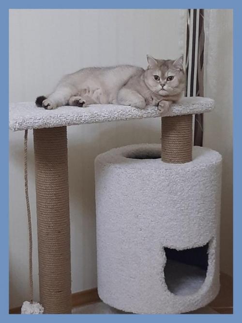 Живи с уютом и комфортом. 02