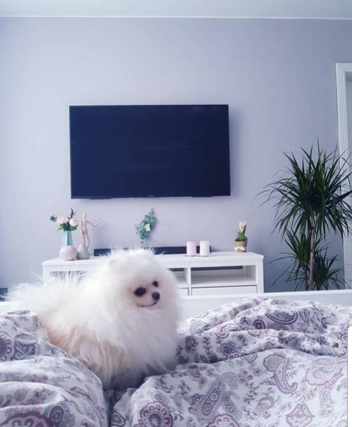 Маленькая и уютная квартира после бюджетного ремонта. 01