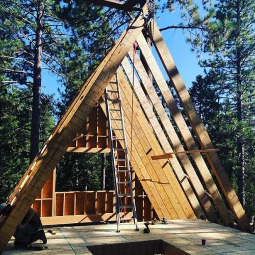 Ну просто красавец. 08