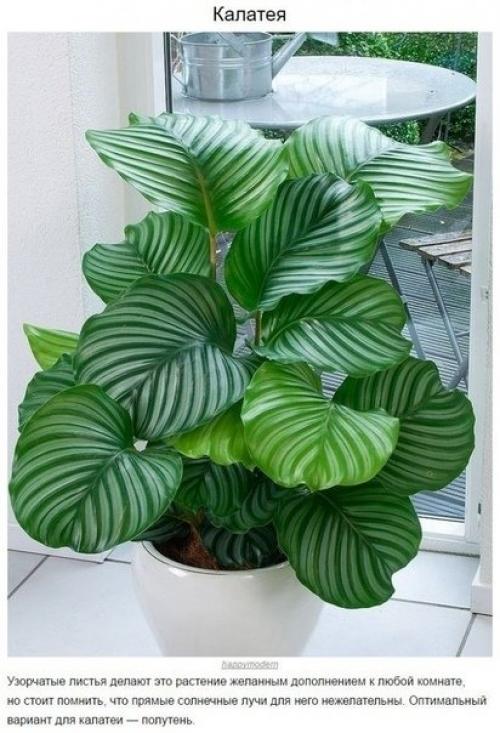 Наша детская комната. 04