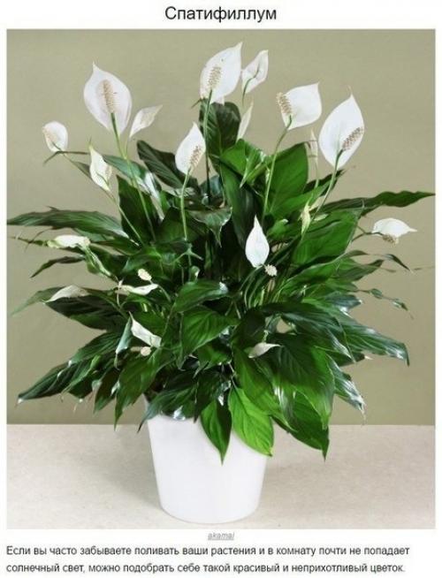 Наша детская комната. 03