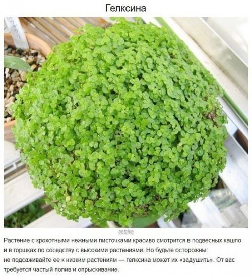 Наша детская комната. 07