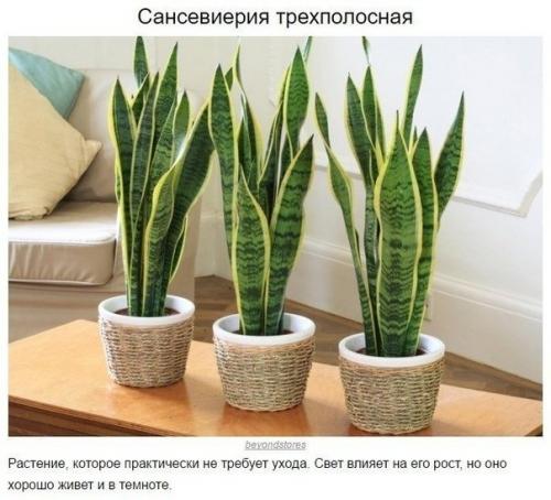 Наша детская комната. 05