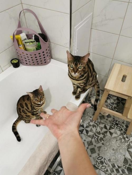 До и после. 01