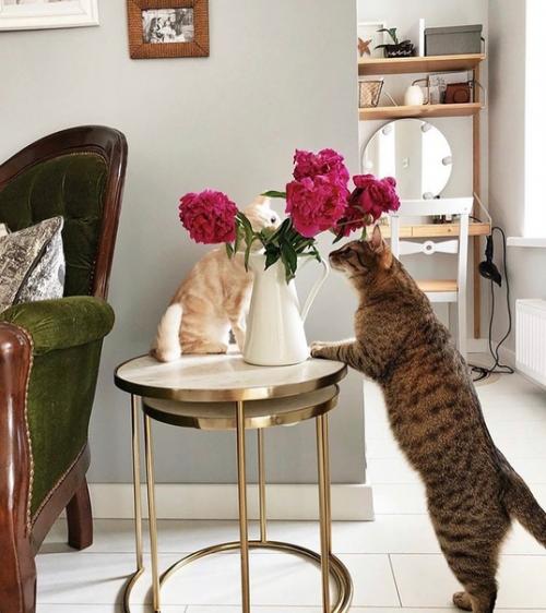 Небольшая и уютная квартира после капитального ремонта и перепланировки. 05