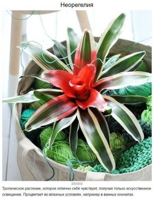 Наша детская комната. 01