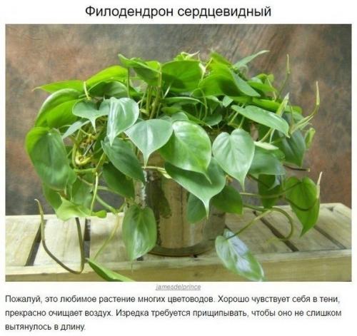 Наша детская комната. 08