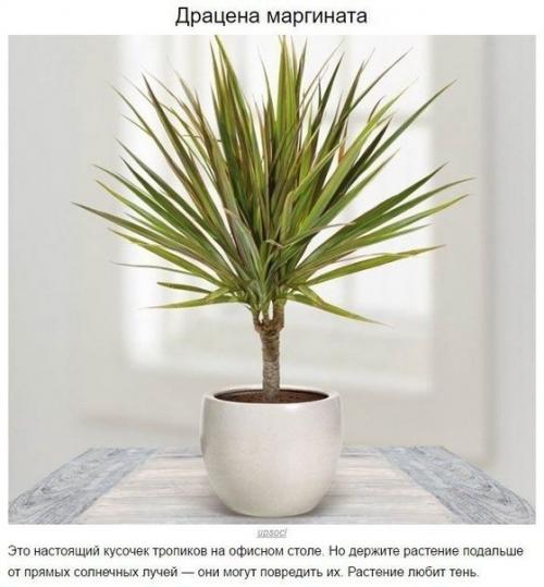 Наша детская комната. 02