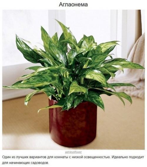 Наша детская комната. 06