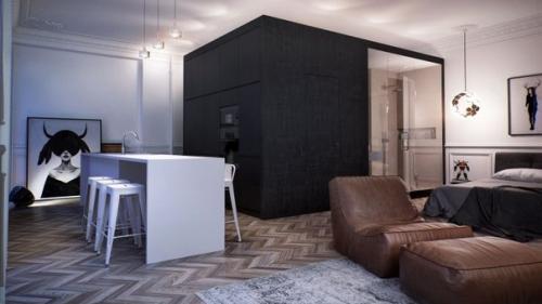 Неоклассика в дизайне квартиры для молодого человека 55 кв. 01