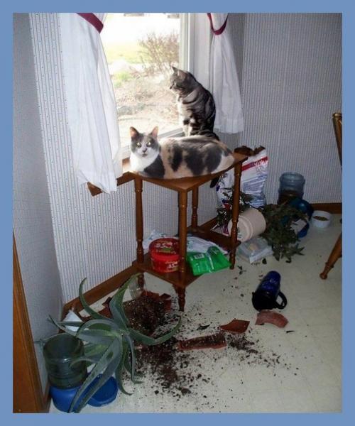 Все о дизайне интерьера. 04