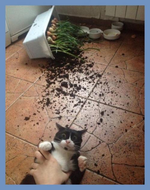 Все о дизайне интерьера. 05