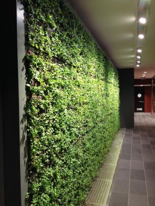 Обустроить в городской квартире небольшой оазис можно с помощью живой стены из растений. 02