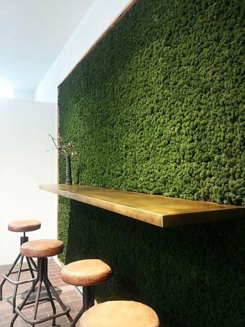 Обустроить в городской квартире небольшой оазис можно с помощью живой стены из растений. 01