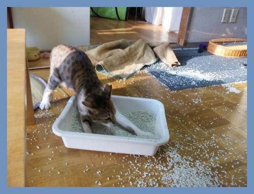 Все о дизайне интерьера. 02