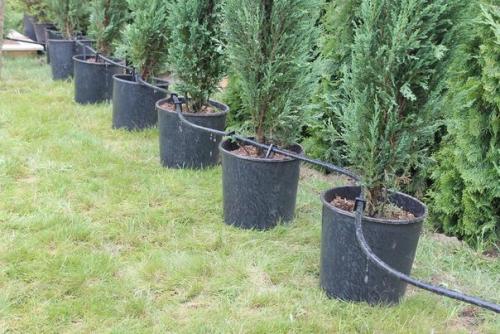 Мы делаем капельный полив своими руками. 01 Мы делаем капельный полив своими руками. 01