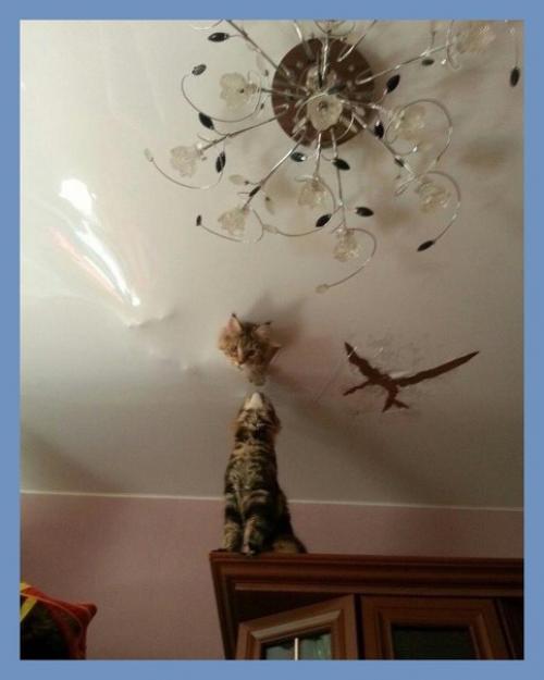 Все о дизайне интерьера. 03