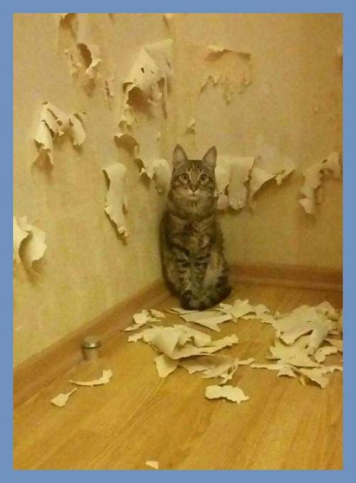 Все о дизайне интерьера. 01