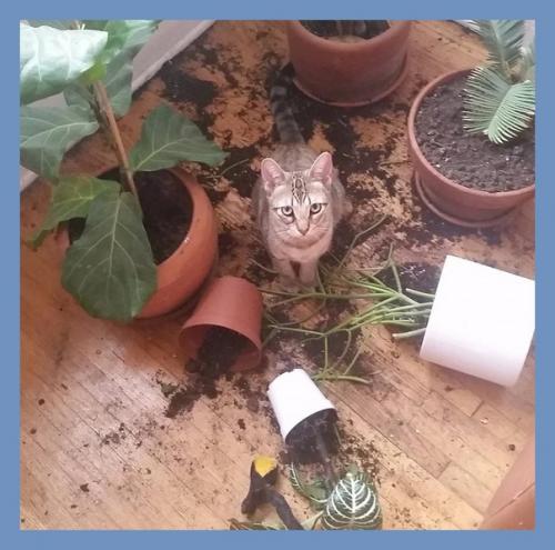 Все о дизайне интерьера. 06